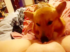 My privates bestiality videos 7