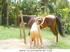 Horse Pee Pussy - BFI - Horse Pissing on Girls - Hispajotes.com